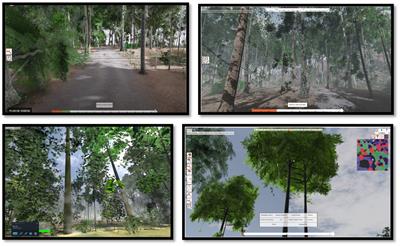 Immersive virtual reality for learning about ecosystems: effect of two signaling levels and feedback on action decisions